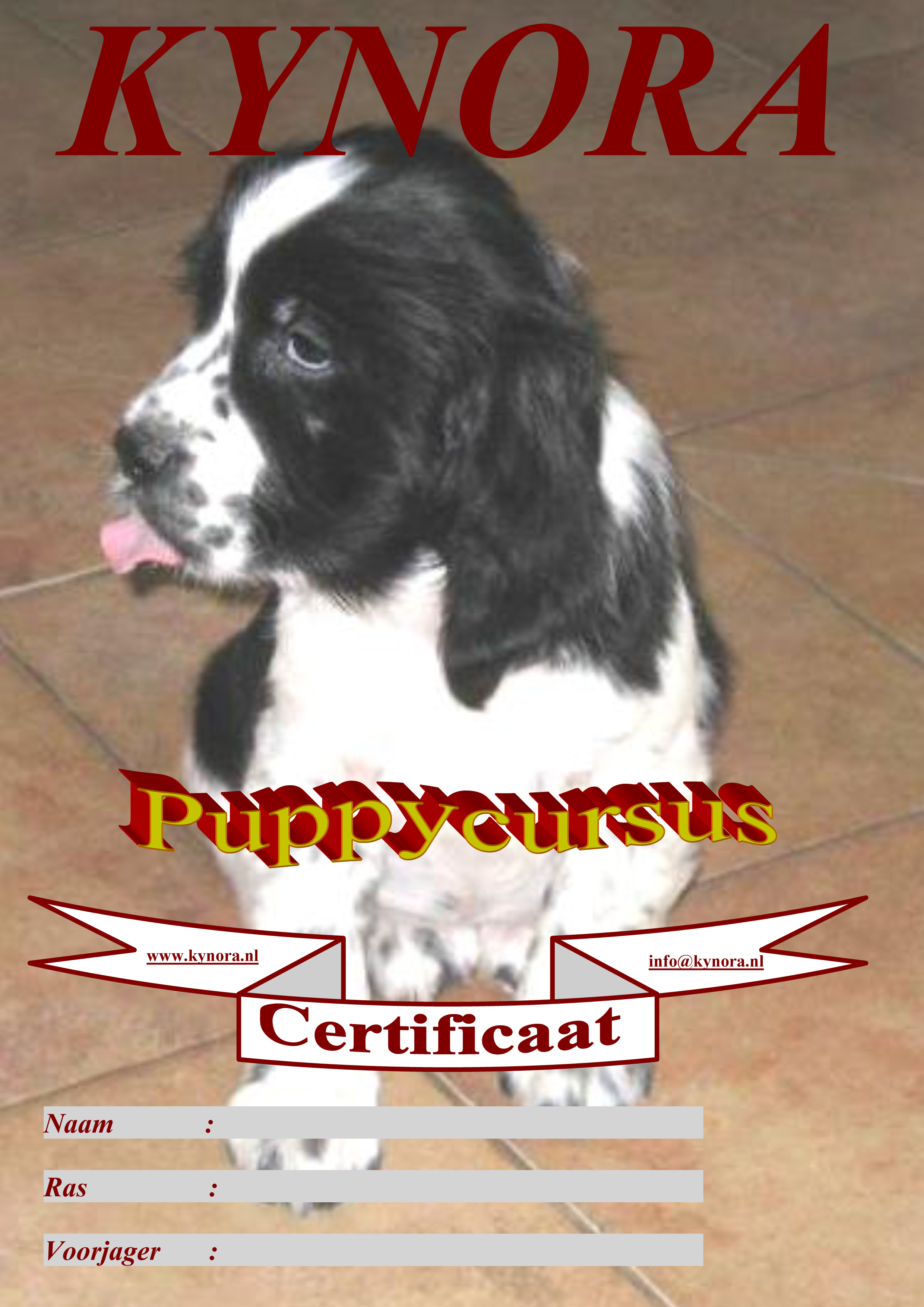 Certificaat Puppy cursus
